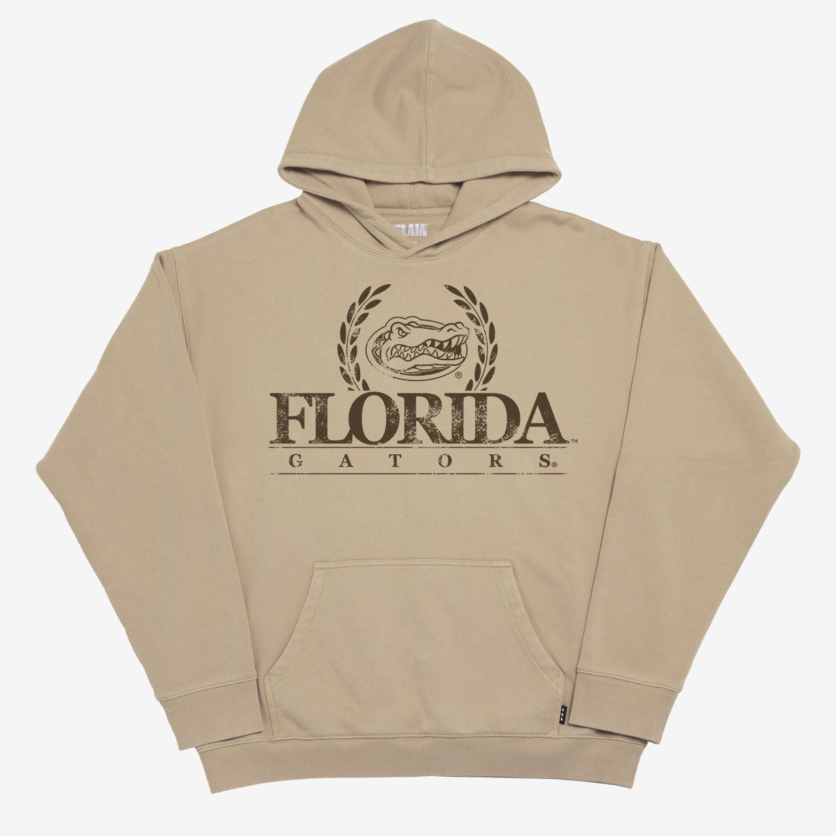 Florida Crest Washed Hoodie