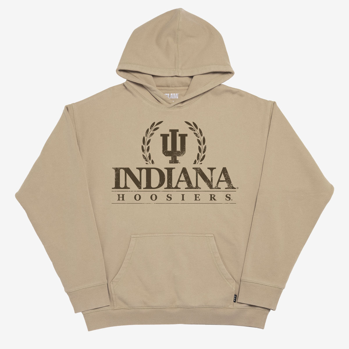 Indiana Crest Washed Hoodie