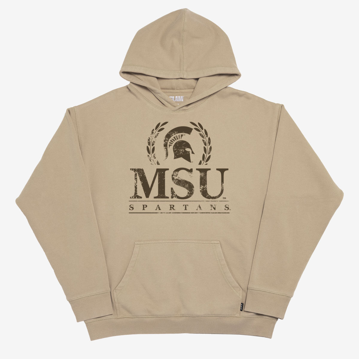 Michigan State Crest Washed Hoodie