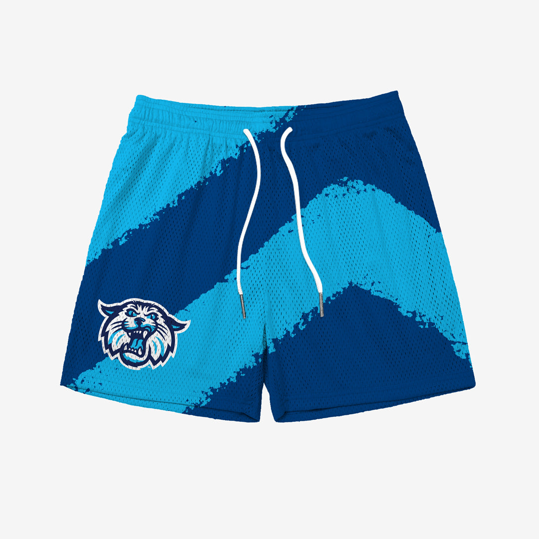 Villanova Big Stripe Fundamental Shorts