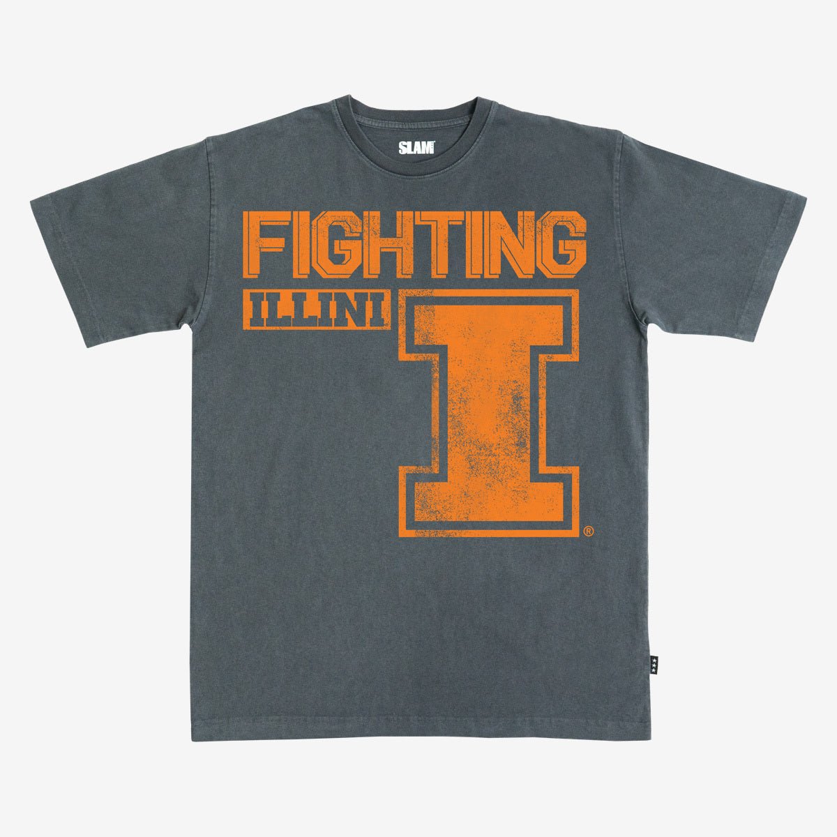 Illinois Monochromatic Heavy Tee - SLAM Goods