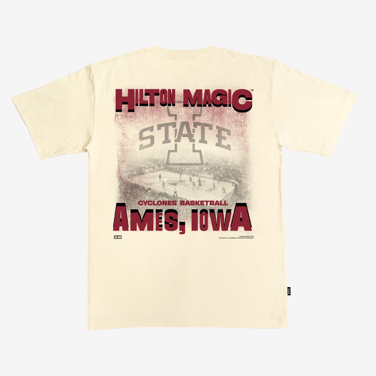 Iowa State Arena Heavy Tee - SLAM Goods