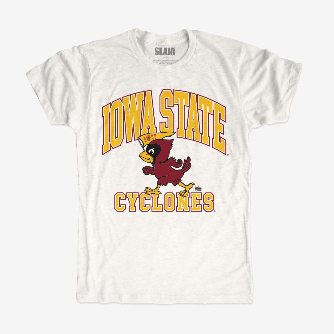 Iowa State Oversized Graphic Vintage Tee - SLAM Goods