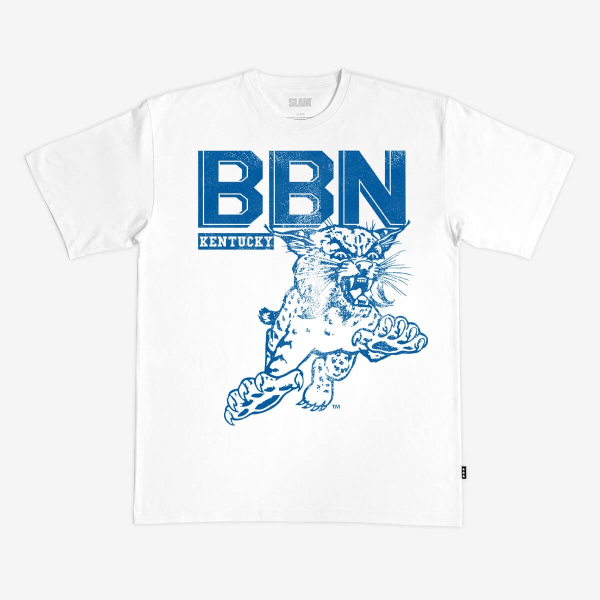 Kentucky Monochromatic Heavy Tee - SLAM Goods