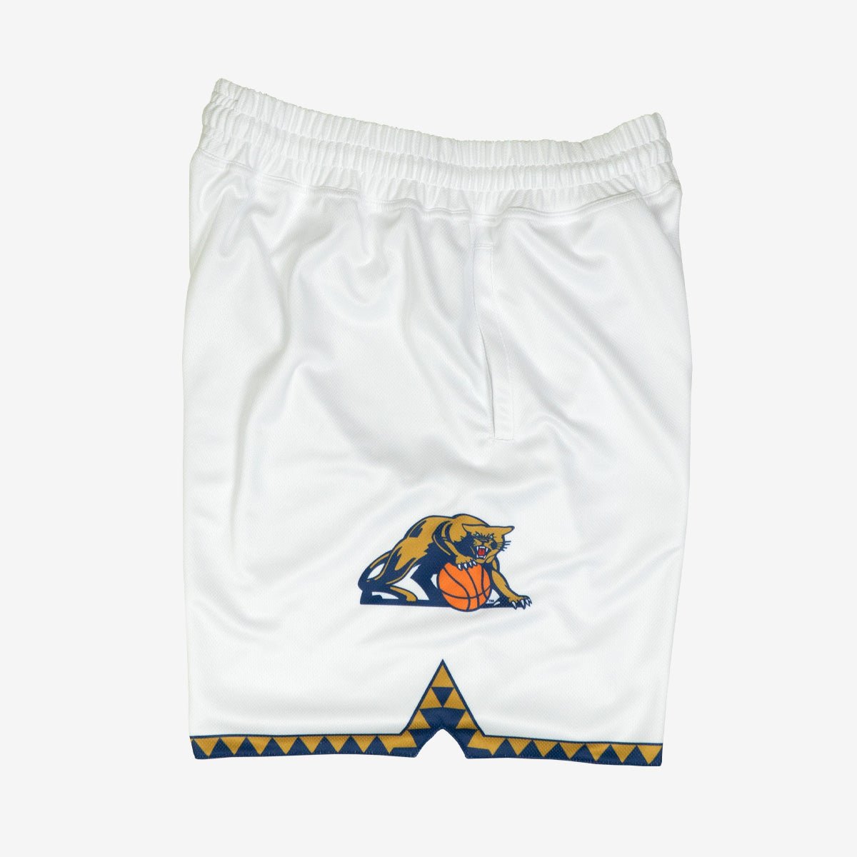 Pittsburgh Panthers 1995 - 1996 Retro Shorts (Home) - SLAM Goods