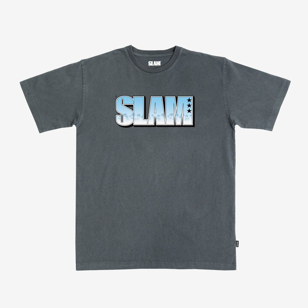 SLAM 249 Miami Heavy Tee - SLAM Goods