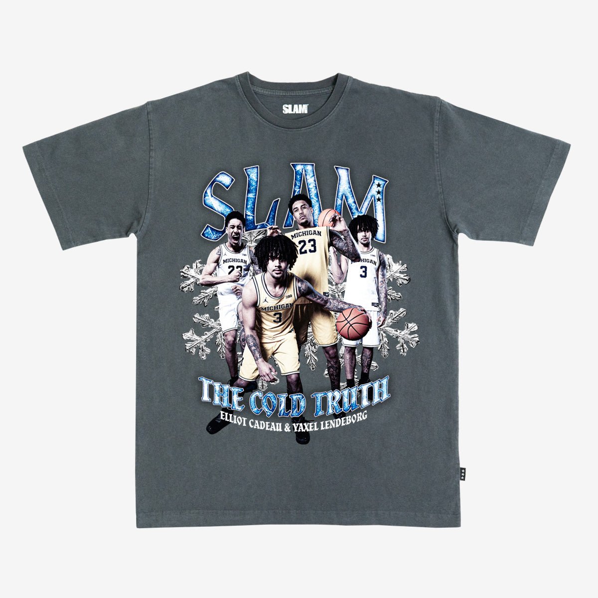 SLAM The Cold Truth Remix Heavy Tee - SLAM Goods