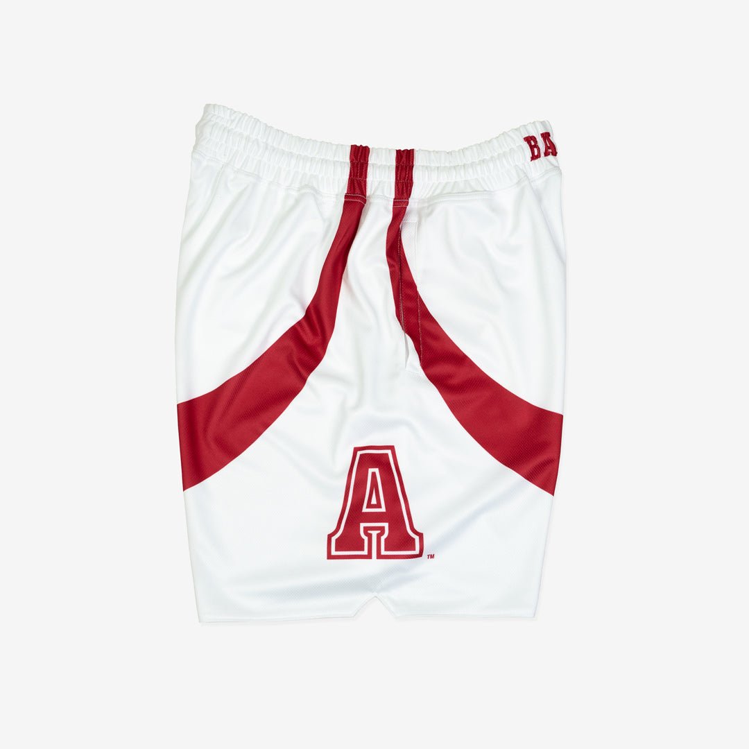 Alabama Crimson Tide 1994-1995 - SLAM Goods