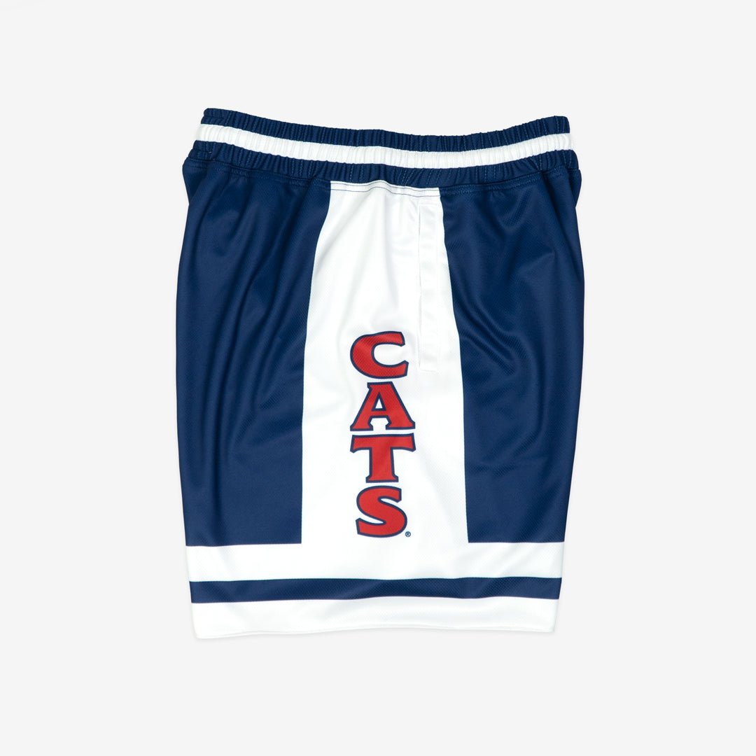 Arizona Wildcats 1996-1997 Away - SLAM Goods
