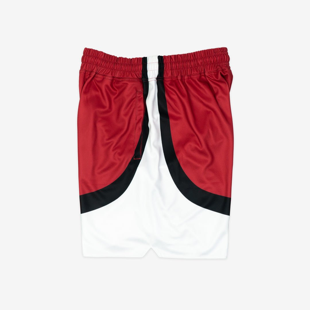 Arkansas Razorbacks 1994-1995 Away - SLAM Goods