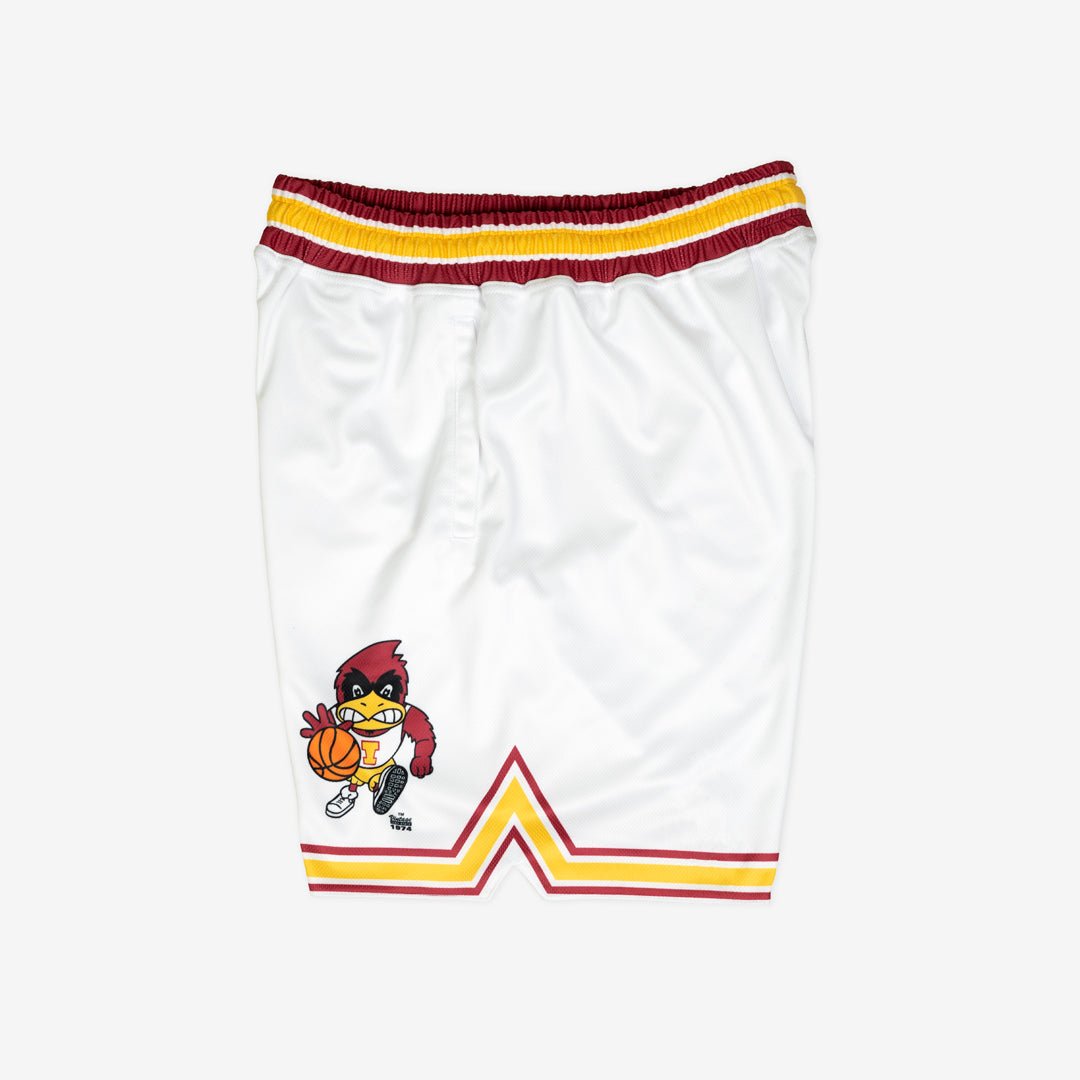 Iowa State 1987-1988 - SLAM Goods
