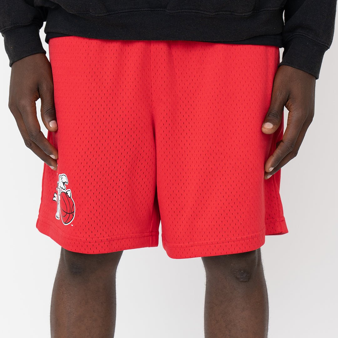 Maryland Terrapins Retro Practice Shorts - SLAM Goods