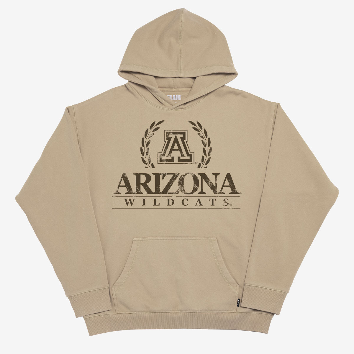 Arizona Crest Washed Hoodie