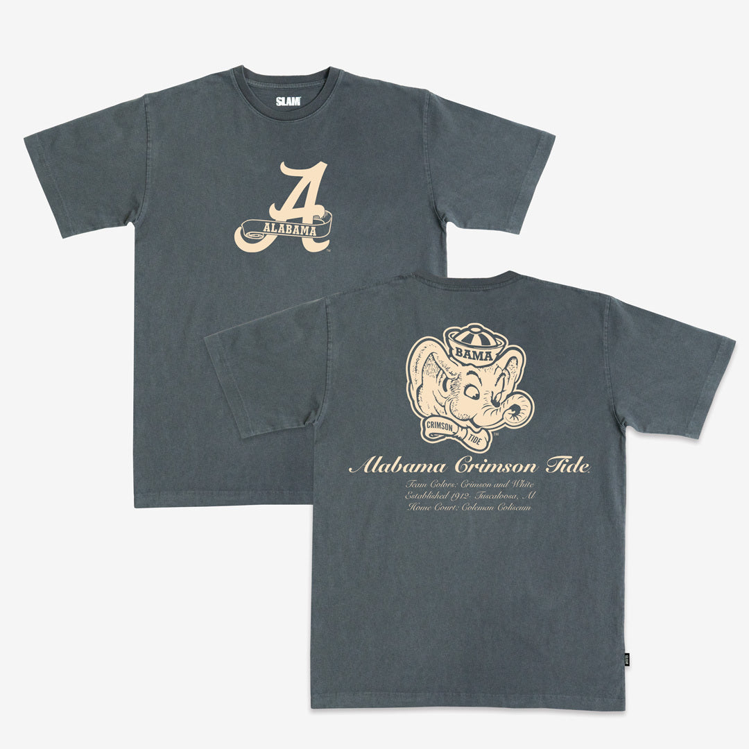 Alabama Homecourt Heavy Tee