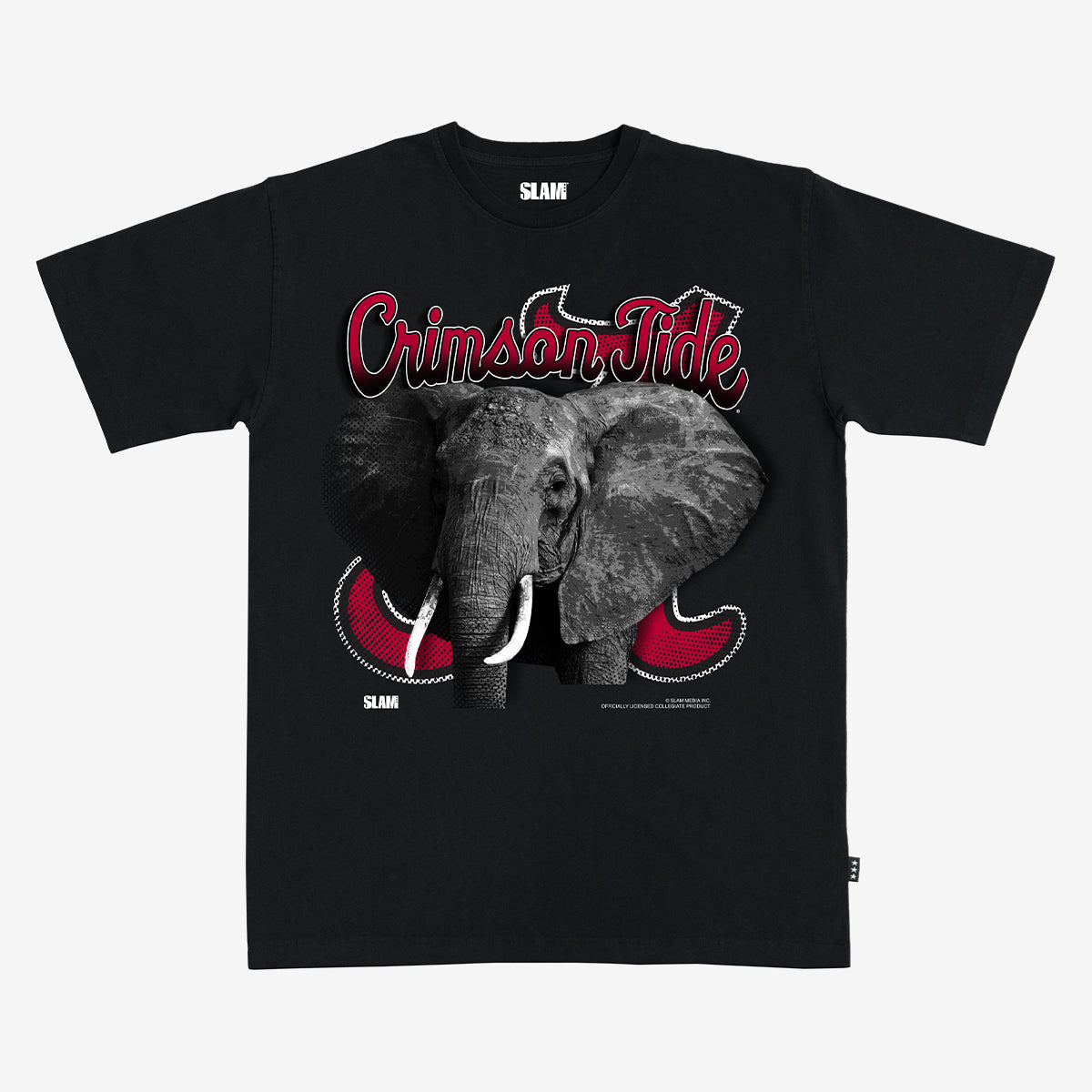 Alabama Untamed Heavy Tee