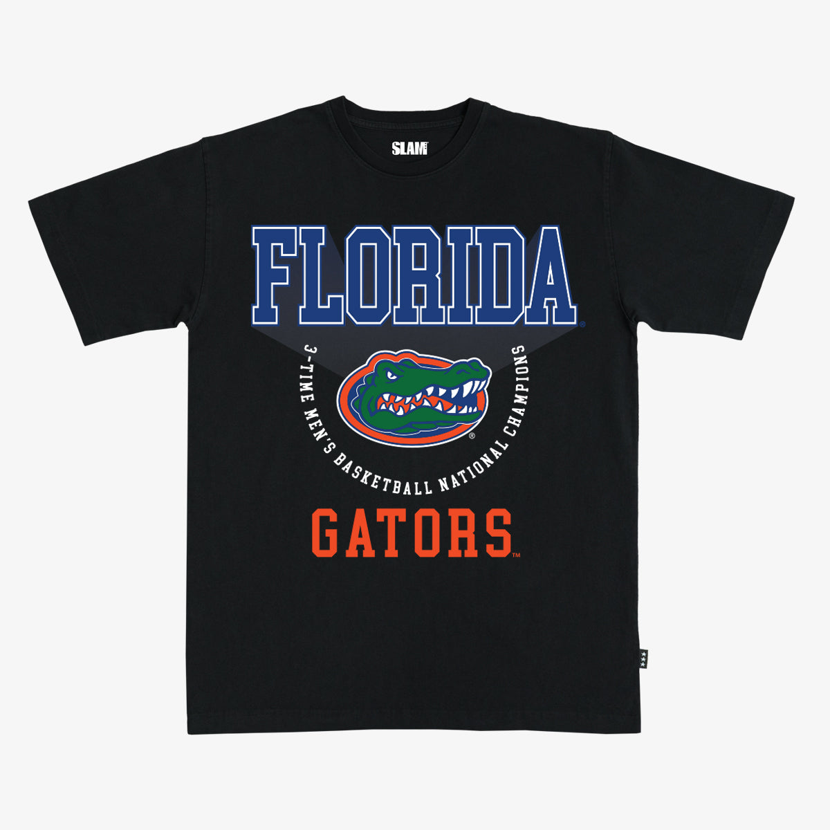 Florida Banner Heavy Tee