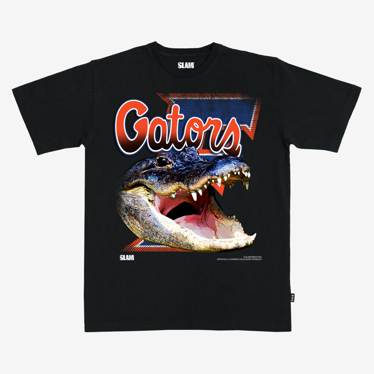 Florida Untamed Heavy Tee