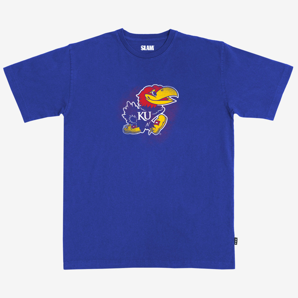 Kansas Arena Heavy Tee