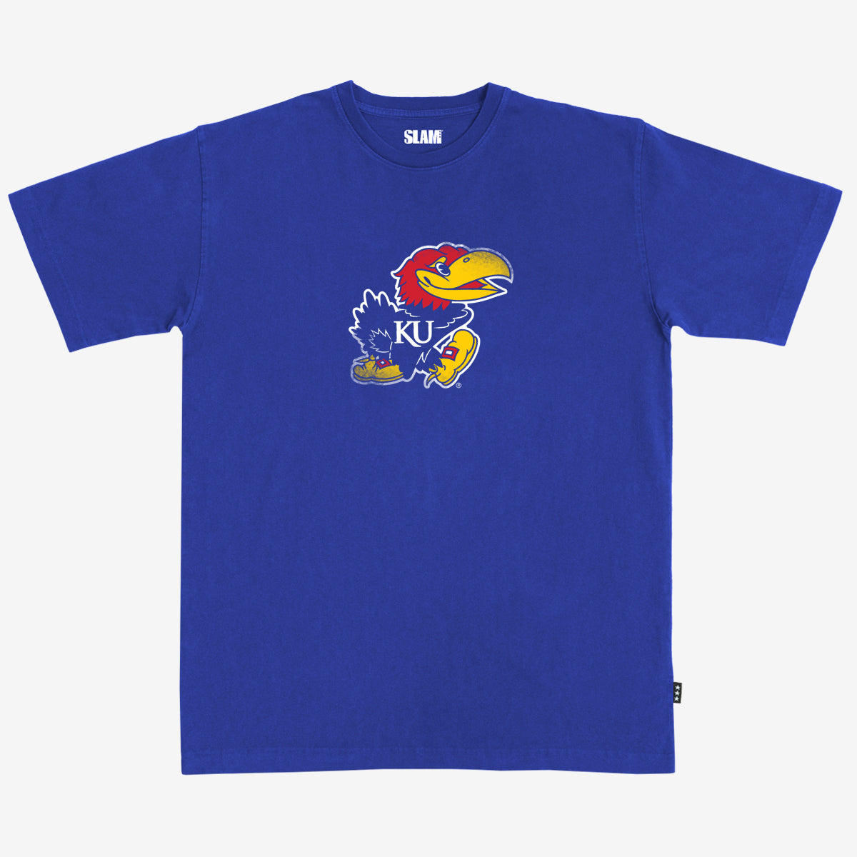 Kansas Arena Heavy Tee