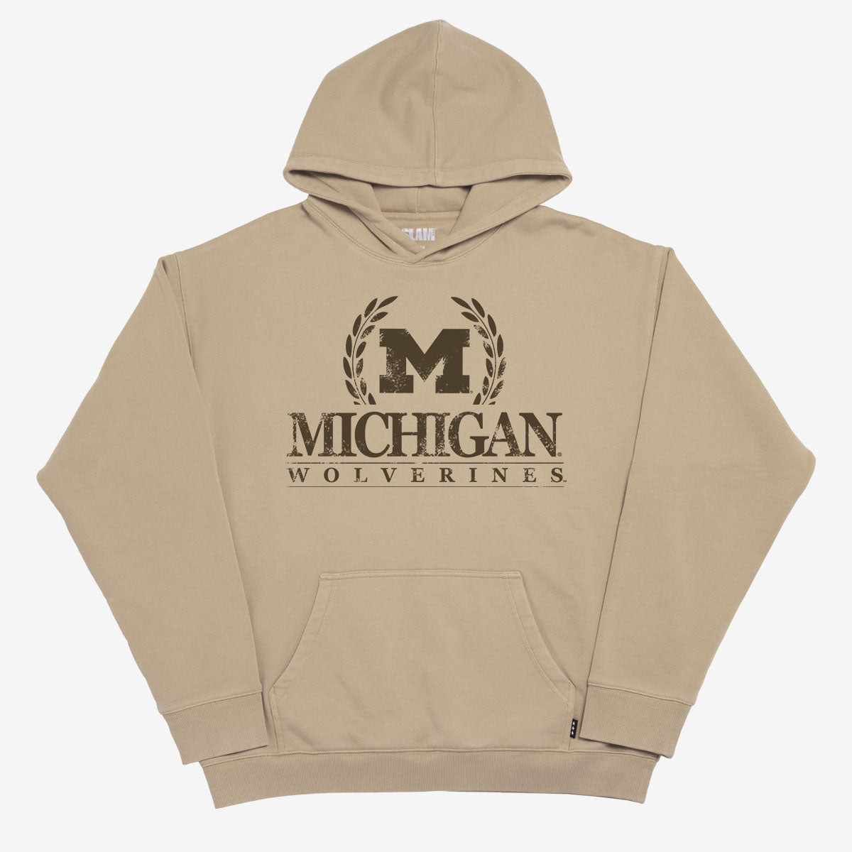 Michigan Crest Washed Hoodie