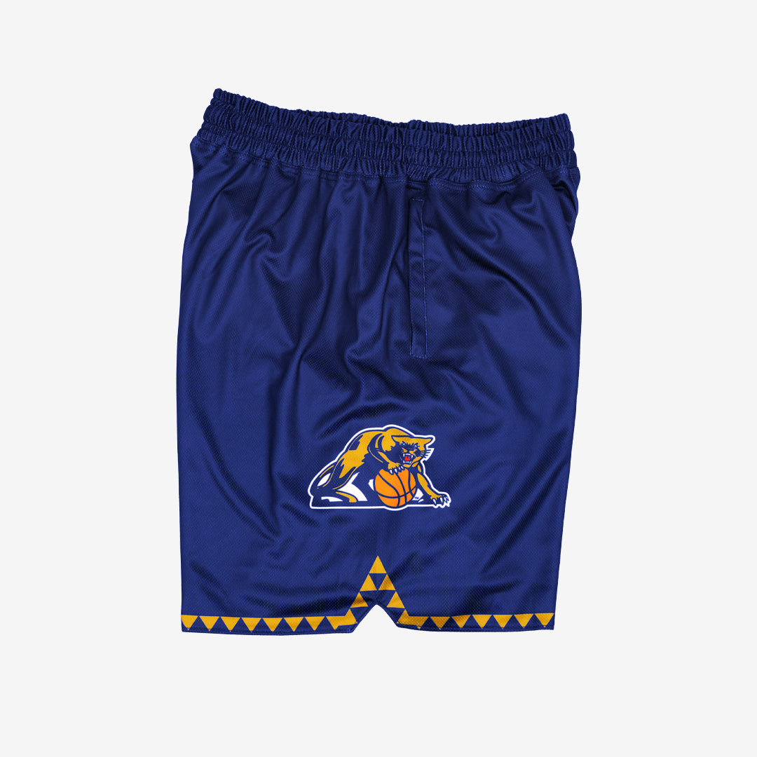 Pittsburgh Panthers 1995-1996 Retro Shorts (Away)