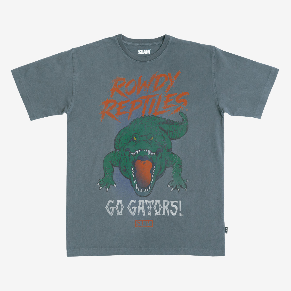 Florida Rowdy Reptiles Heavy Tee