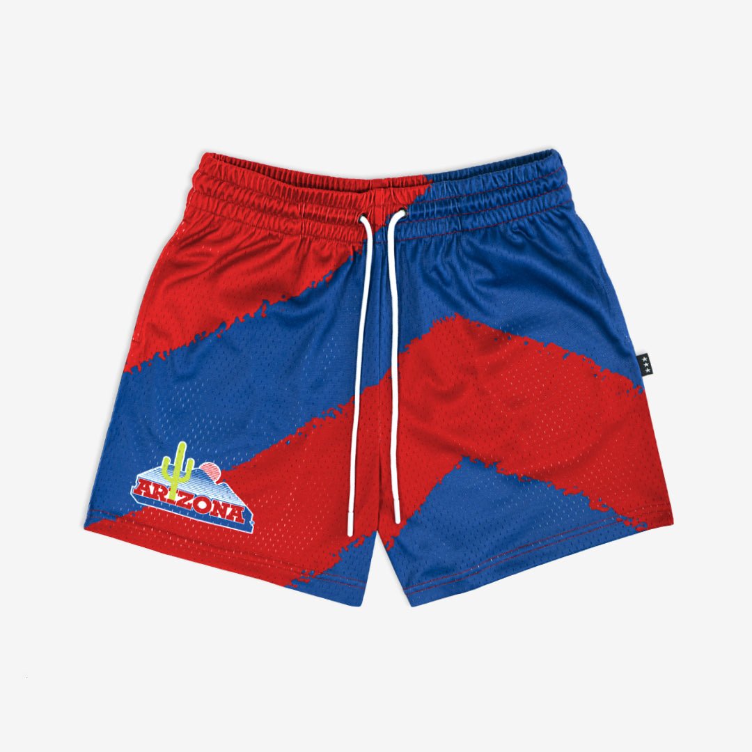 Arizona Big Stripe Fundamental Shorts - SLAM Goods