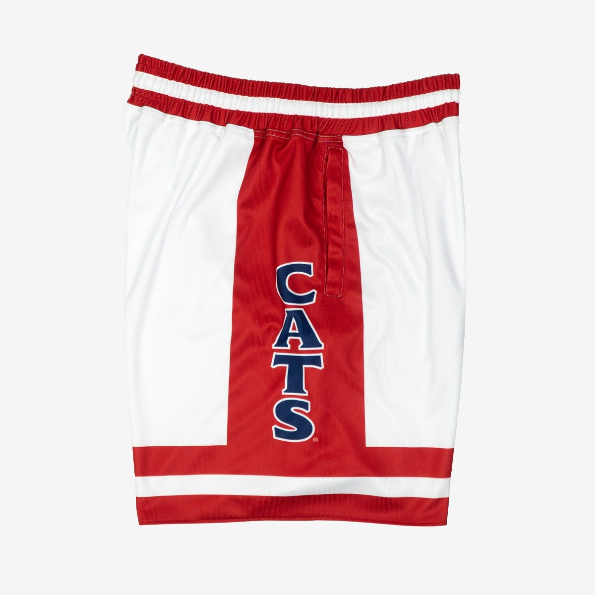 Arizona Wildcats 1996 - 1997 Retro Shorts (Home) - SLAM Goods