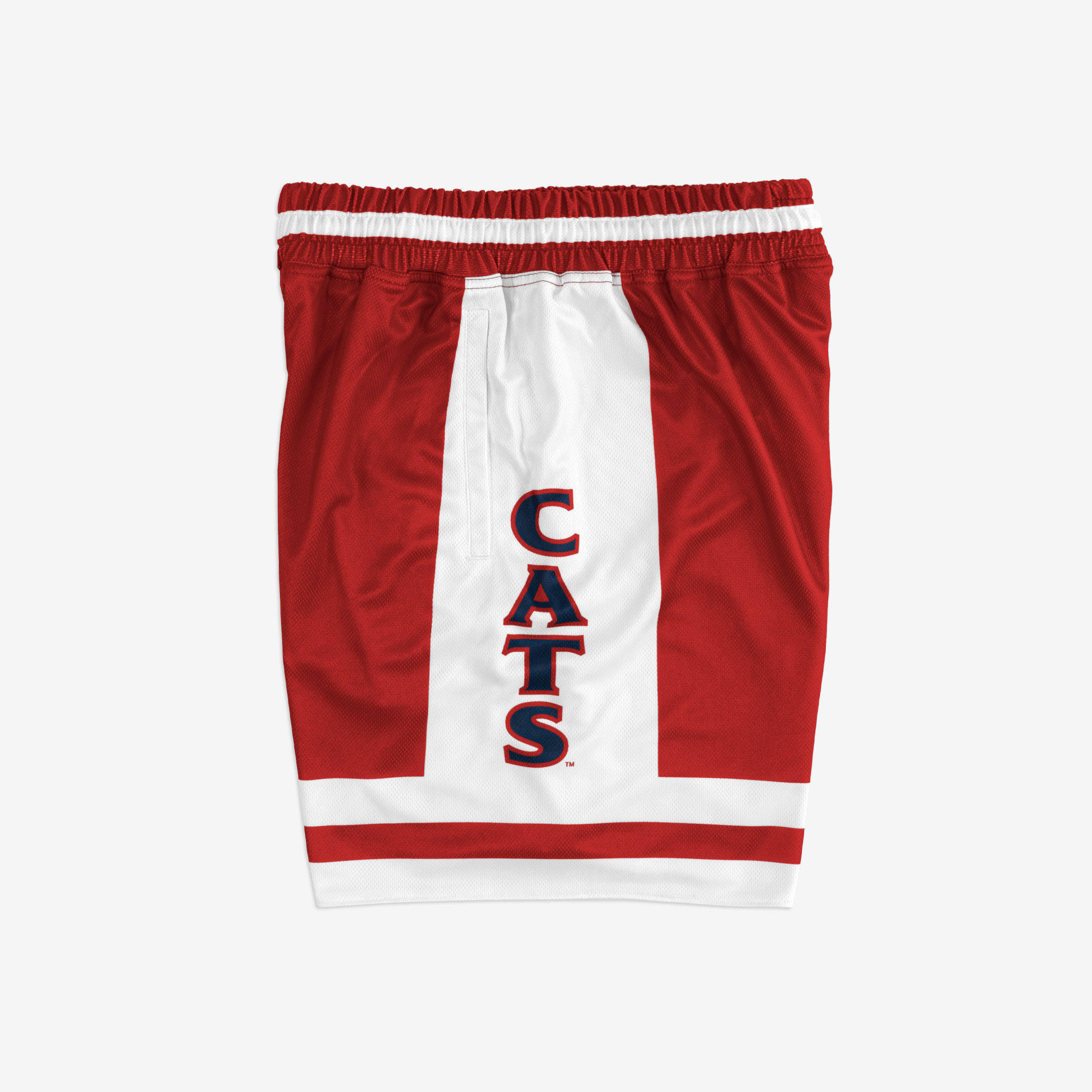 Arizona Wildcats 2000 - 2001 Retro Shorts (Alternate) - SLAM Goods