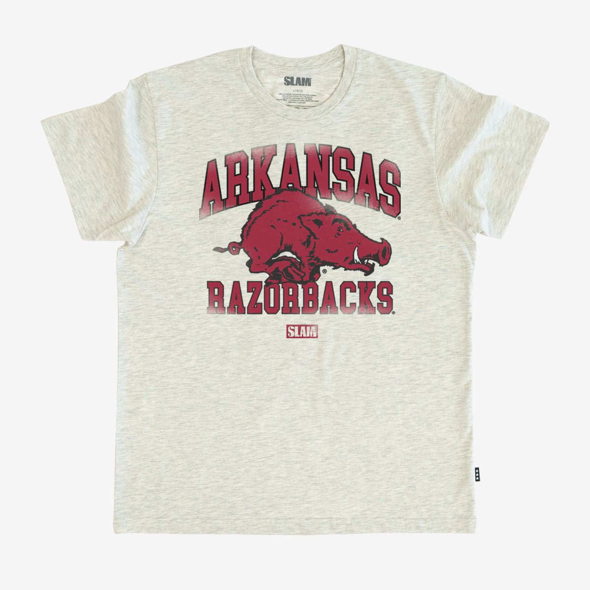 Arkansas Campus Heritage Tee - SLAM Goods