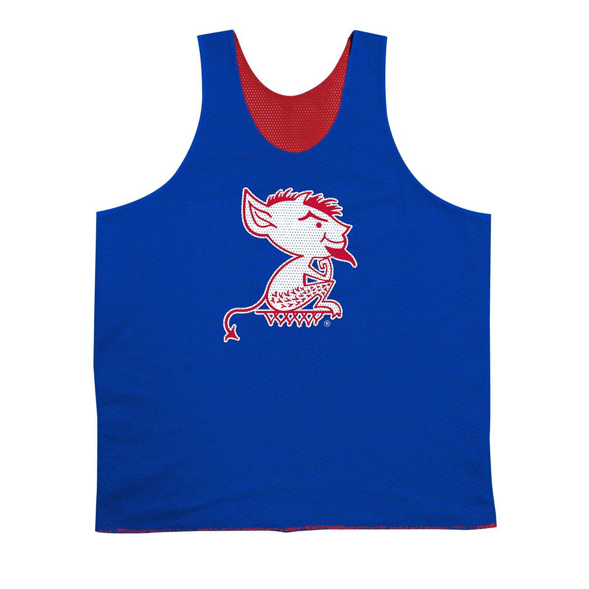 DePaul Reversible Mesh Jersey - SLAM Goods