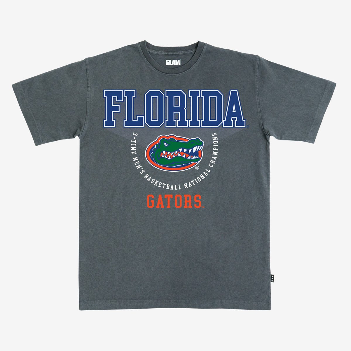 Florida Banner Heavy Tee - SLAM Goods
