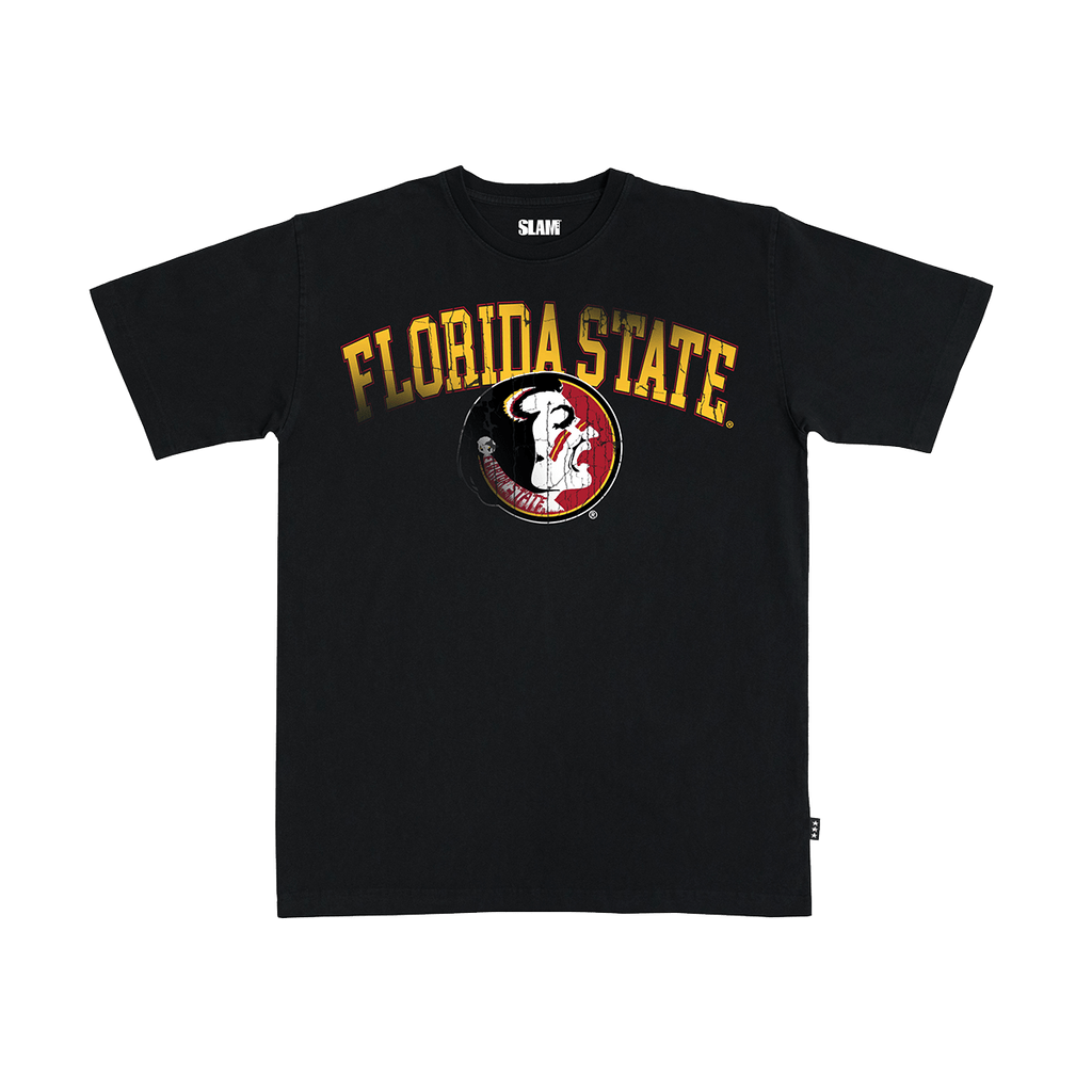 florida state dress shirts Florida State University Shirts, Sweaters, Florida State Seminoles Ugly Sweaters, Dress Shirts