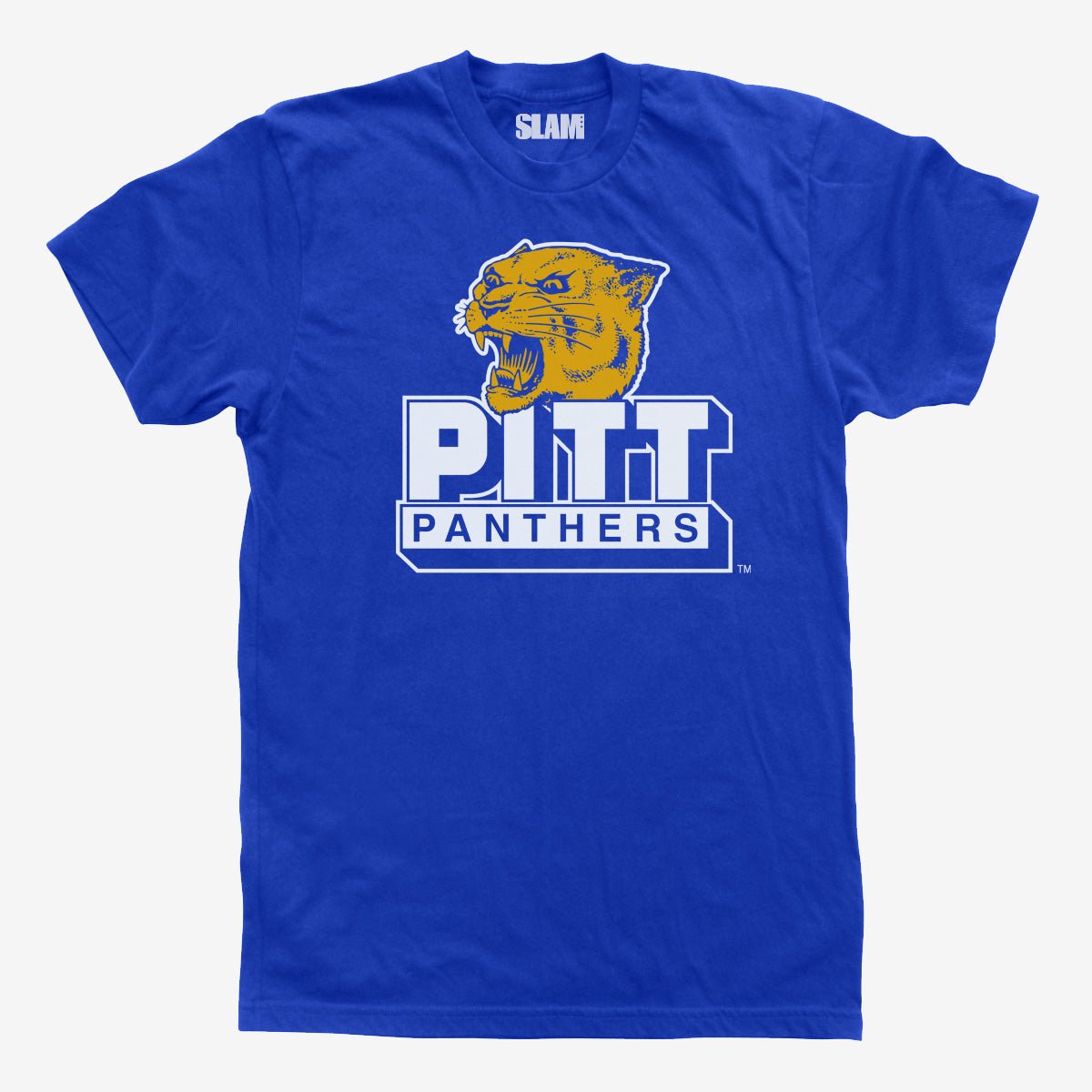 Hail to Pitt Vintage Tee - SLAM Goods