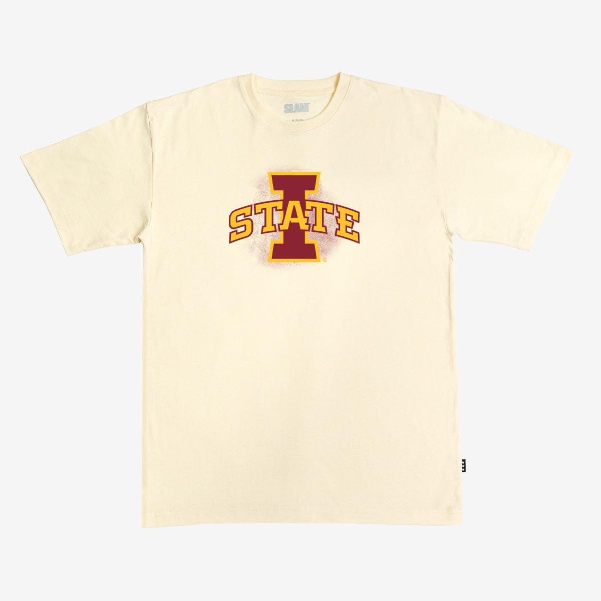 Iowa State Arena Heavy Tee - SLAM Goods