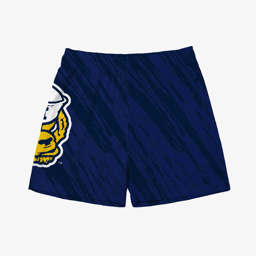 Michigan Dual Logo Fundamental Shorts - SLAM Goods