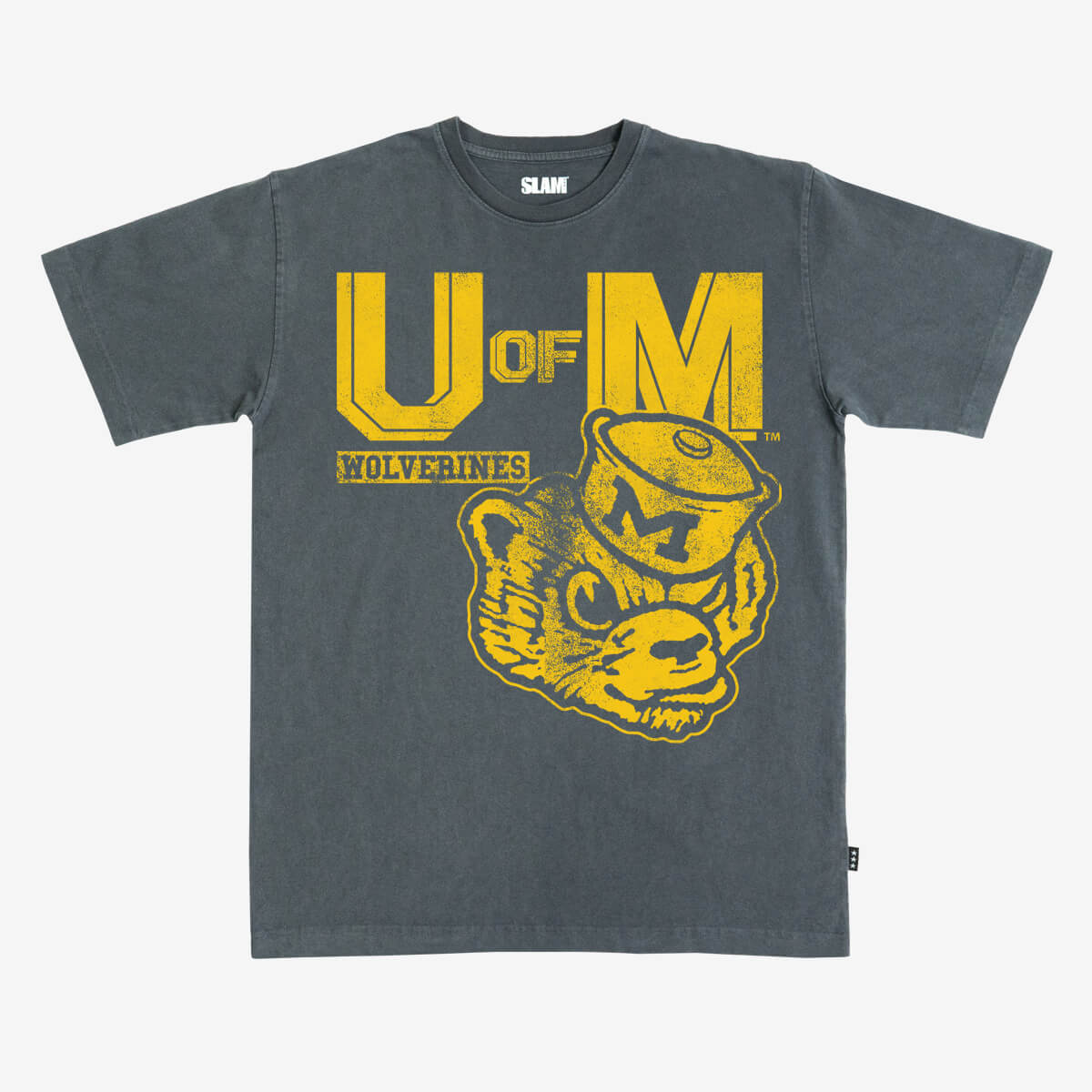 Michigan Monochromatic Heavy Tee - SLAM Goods