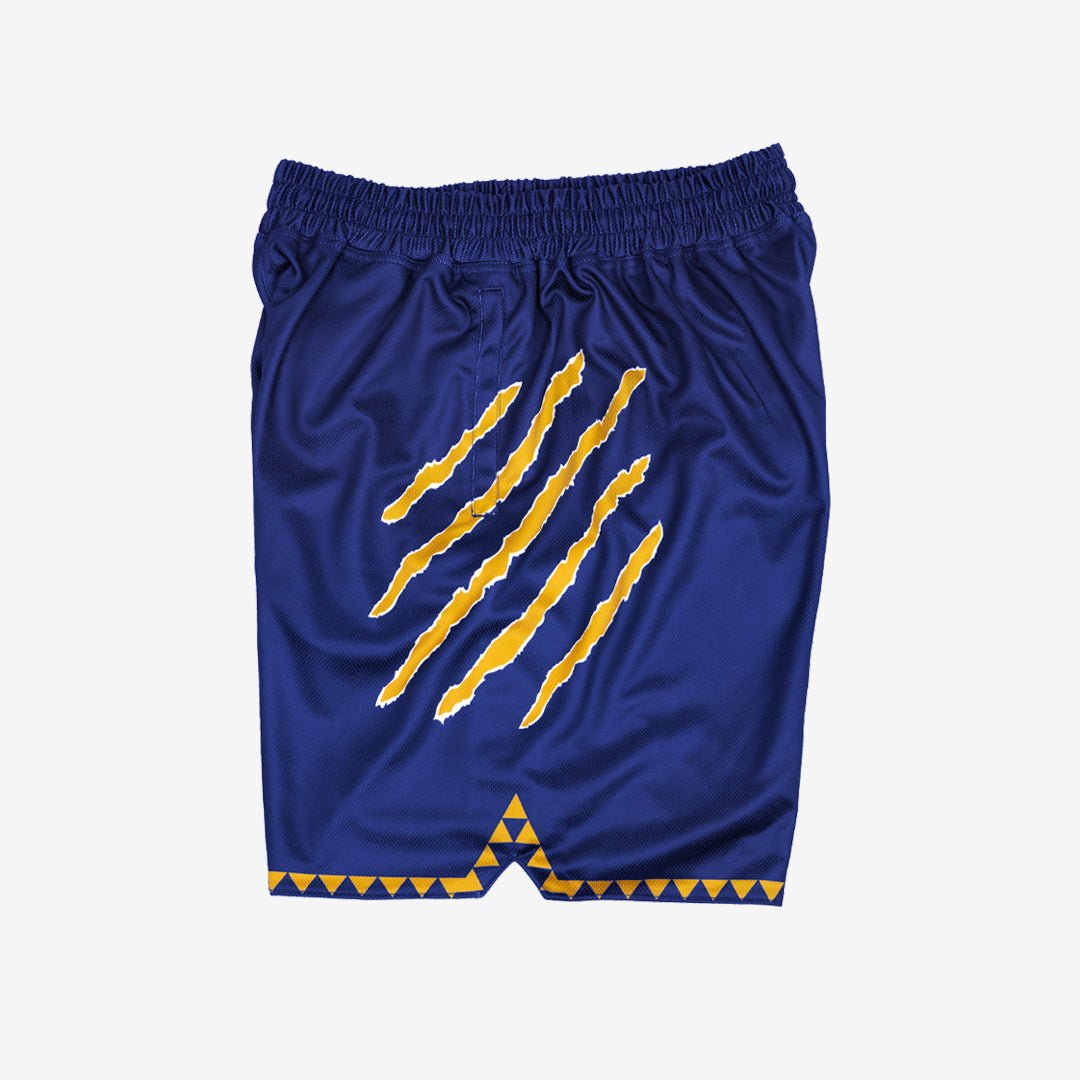 Pittsburgh Panthers 1995 - 1996 Retro Shorts (Away) - SLAM Goods