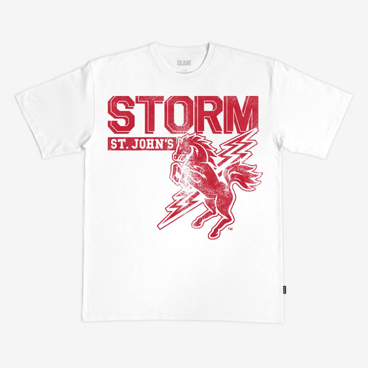 St. John's Monochromatic Heavy Tee - SLAM Goods