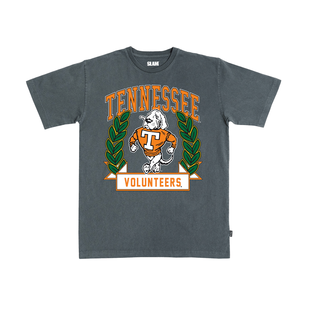 tennessee-collegiate-heavy-tee