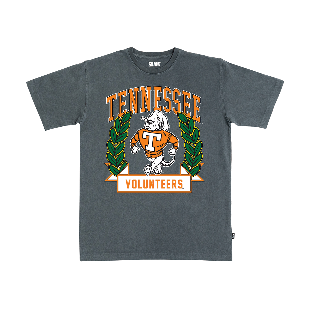 Tennessee Collegiate Heavy Tee - SLAM Goods