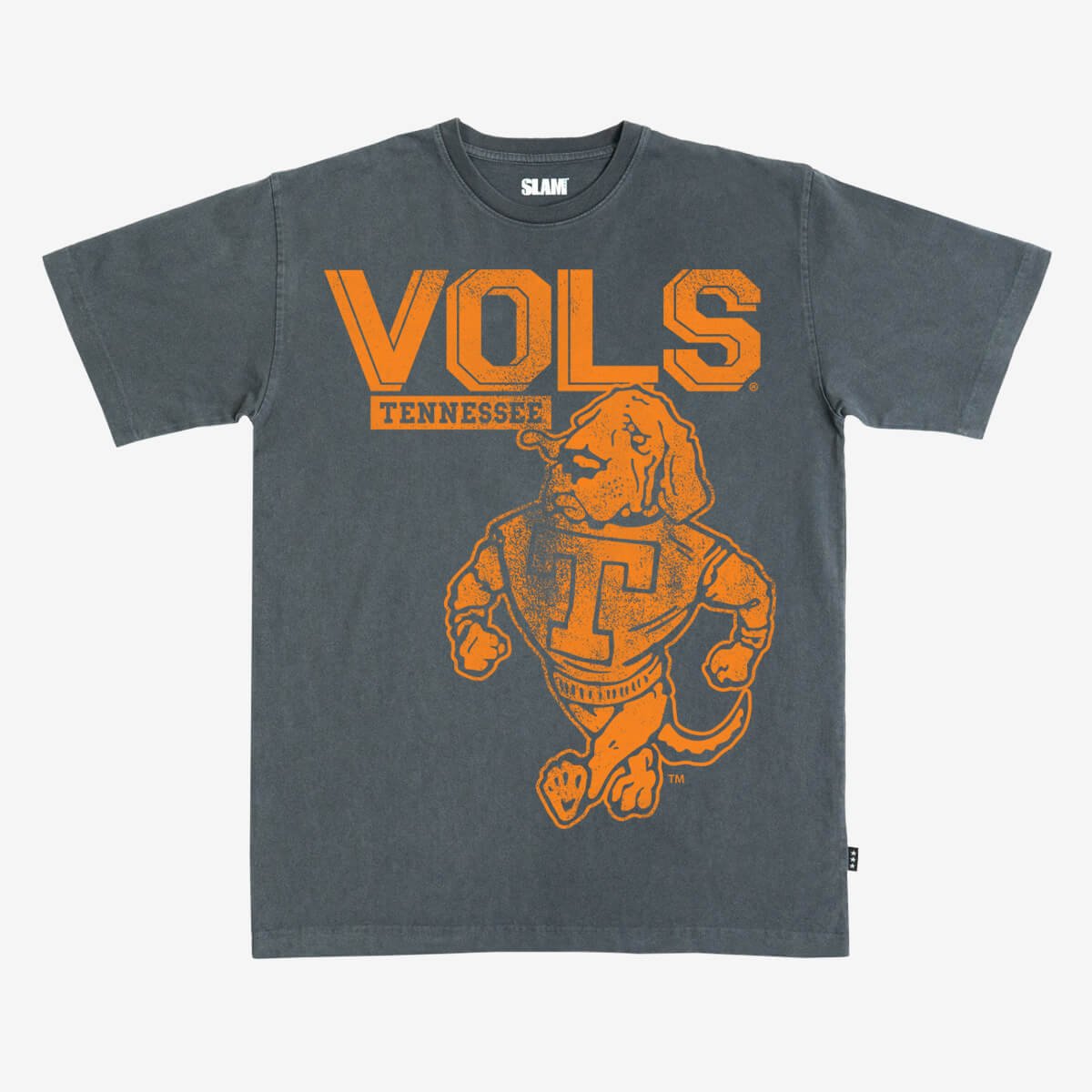 Tennessee Monochromatic Heavy Tee - SLAM Goods