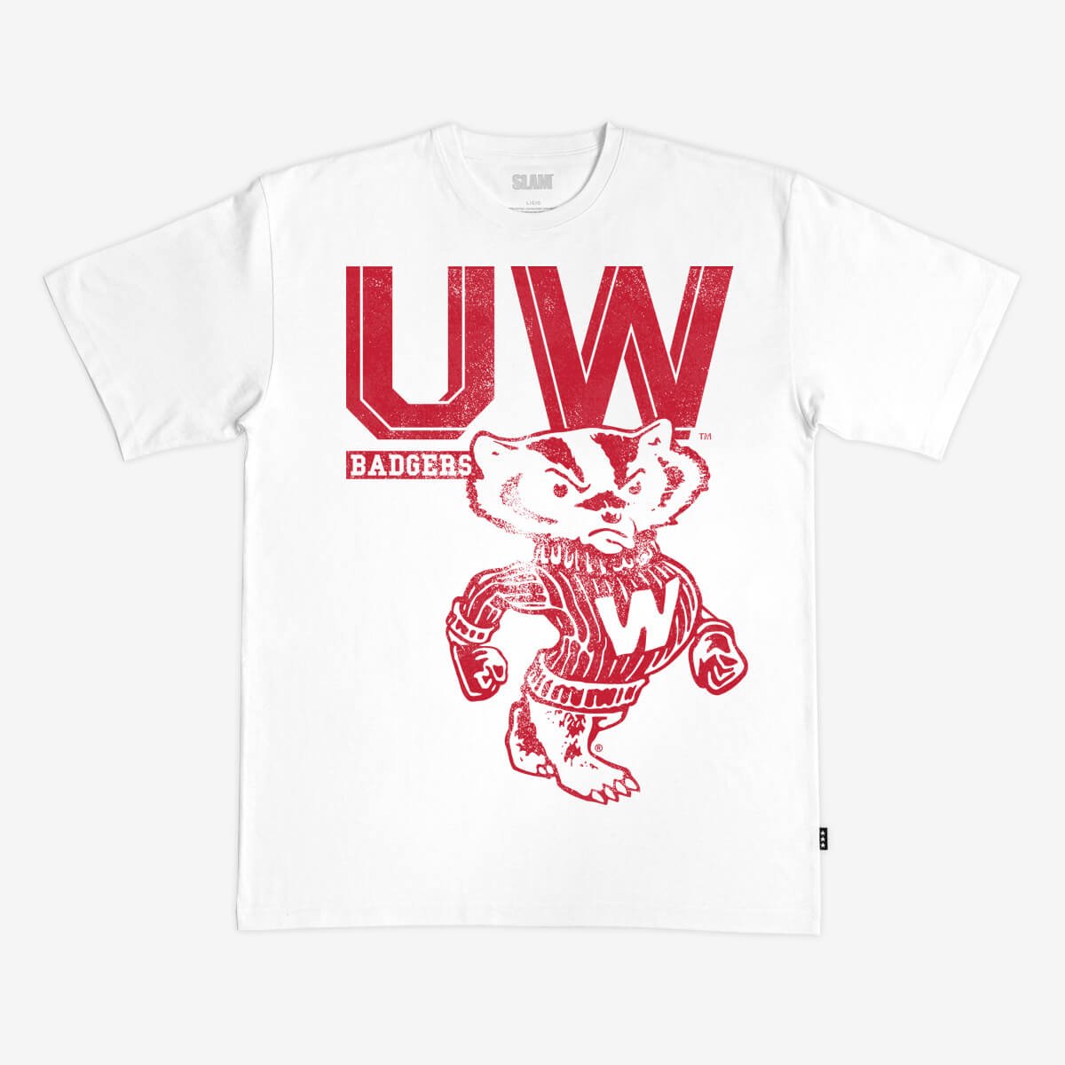 Wisconsin Monochromatic Heavy Tee - SLAM Goods