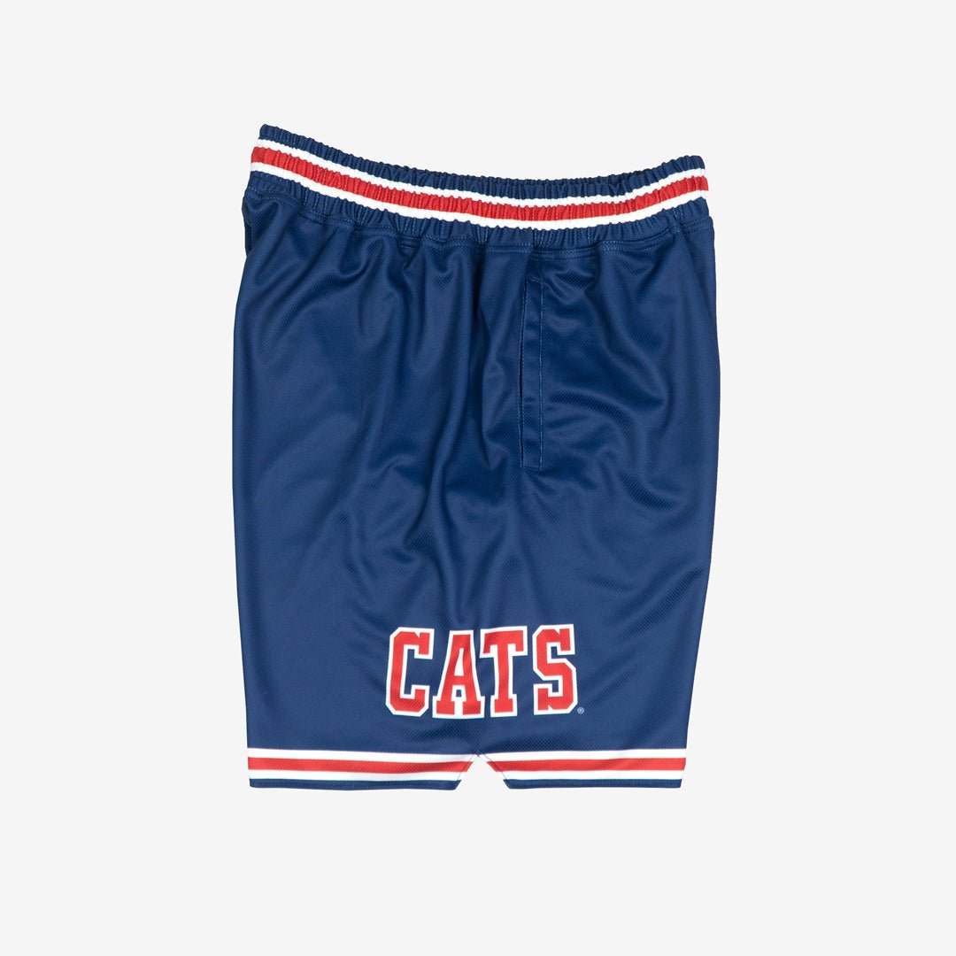Arizona Wildcats 1987-1988 Away - SLAM Goods