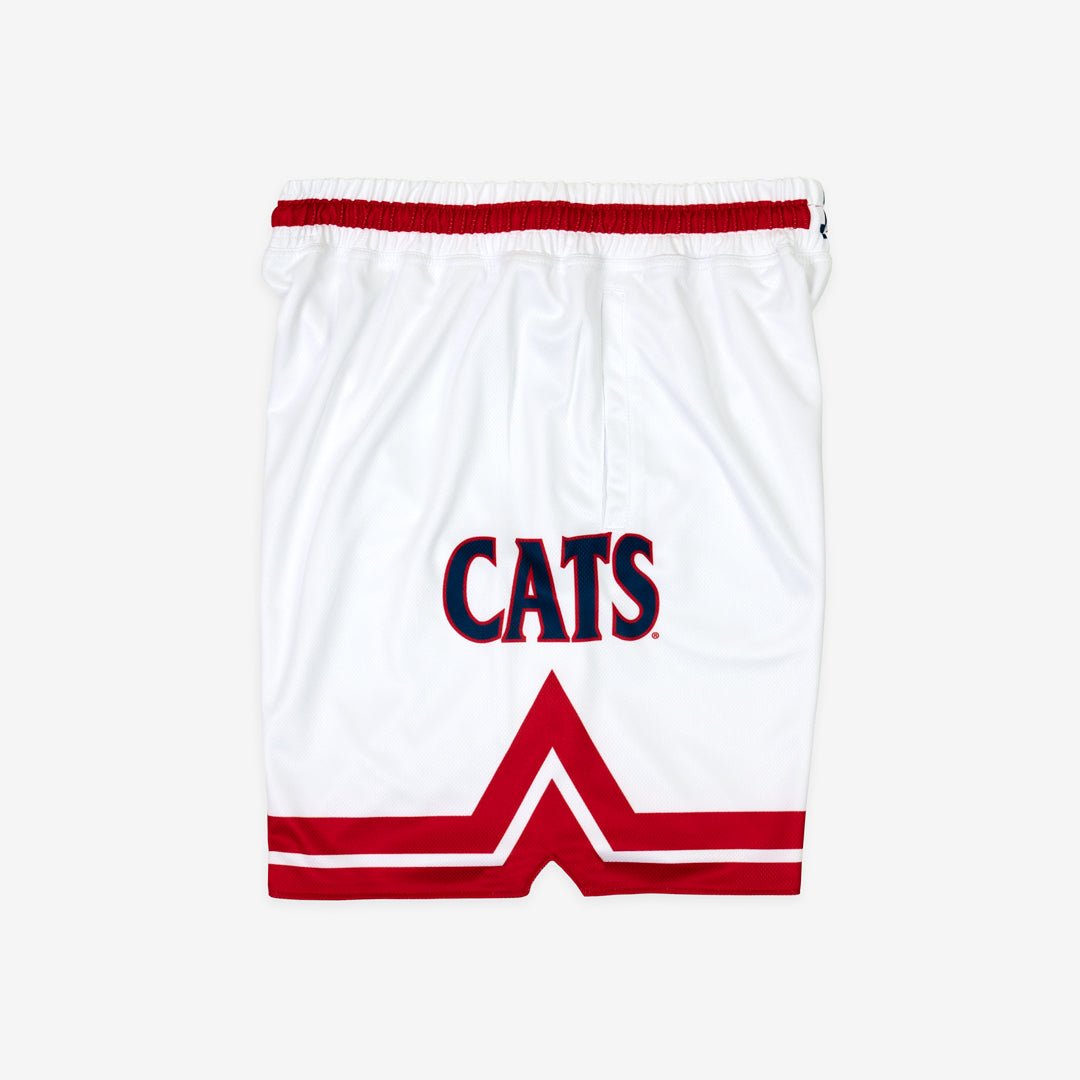 Arizona Wildcats 1993-1994 - SLAM Goods