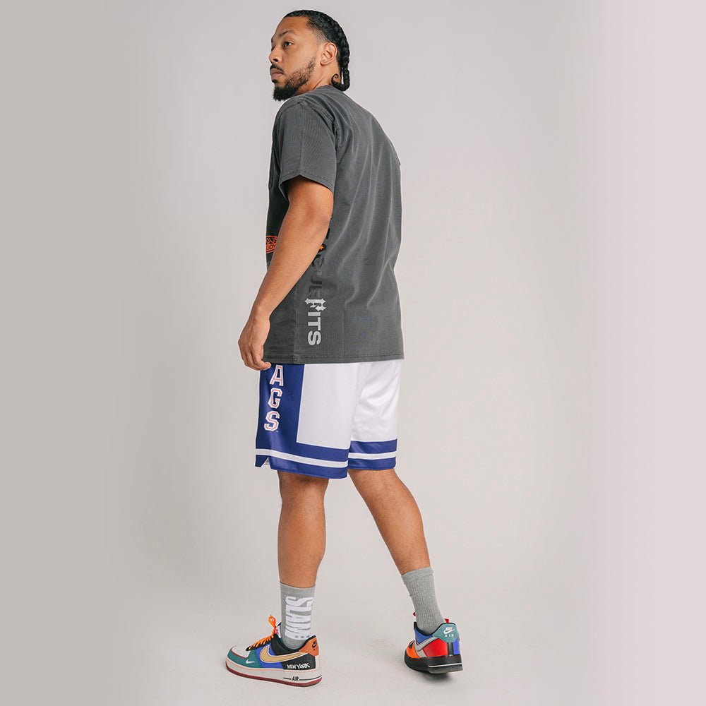 Panoramic Piston Retro Basketball Shorts – Panoramic Problems