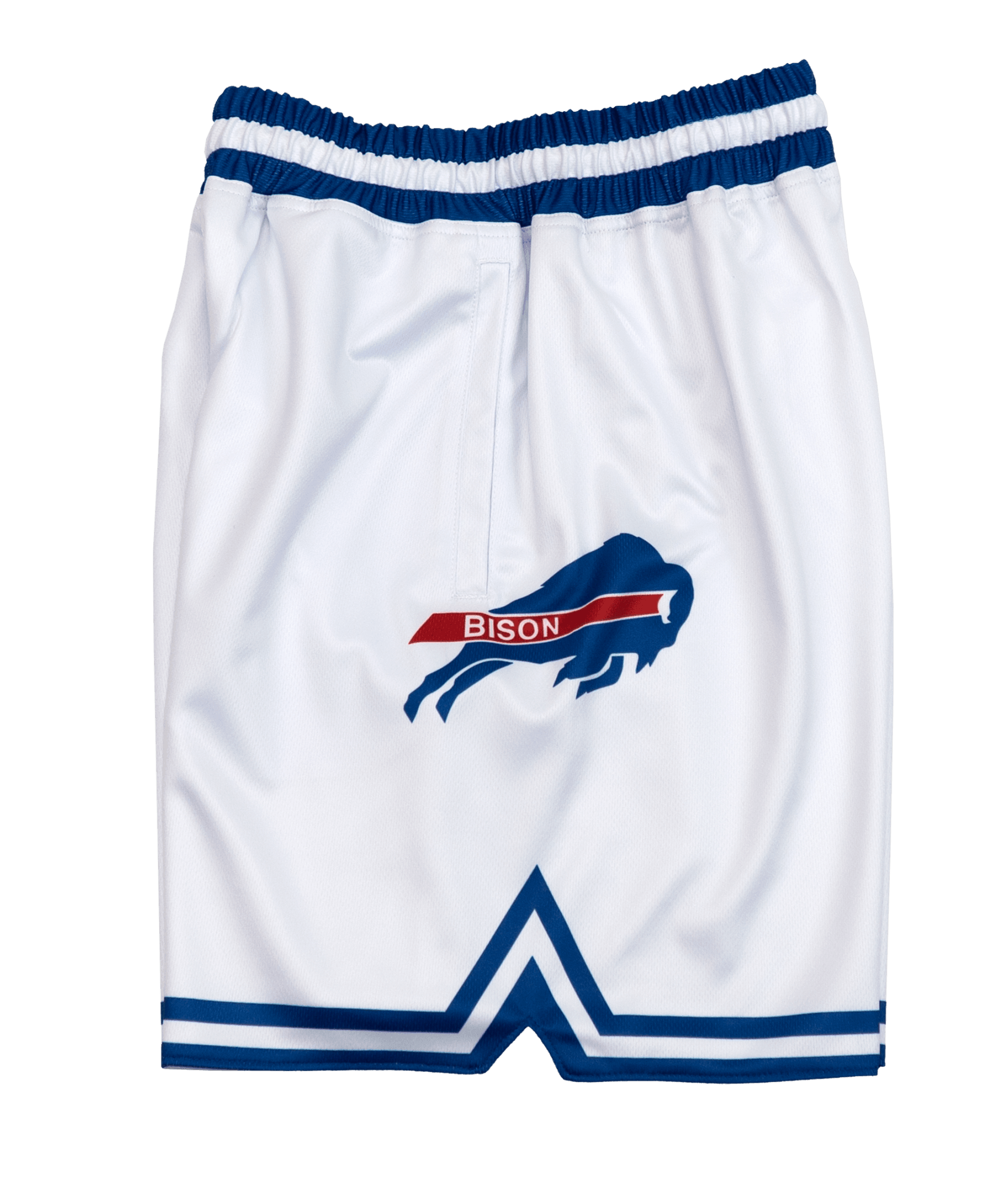 Michigan Wolverines 1991-1992 Retro Shorts – SLAM Goods