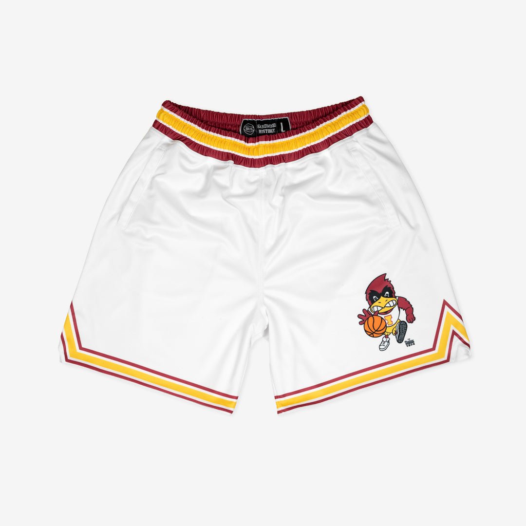Iowa State 1987-1988 - SLAM Goods