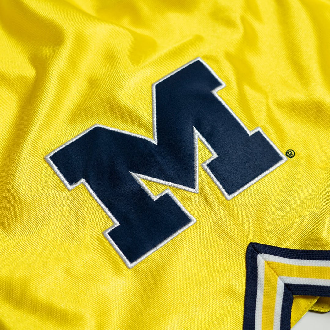 Michigan Wolverines 1992-1993 Legacy - SLAM Goods