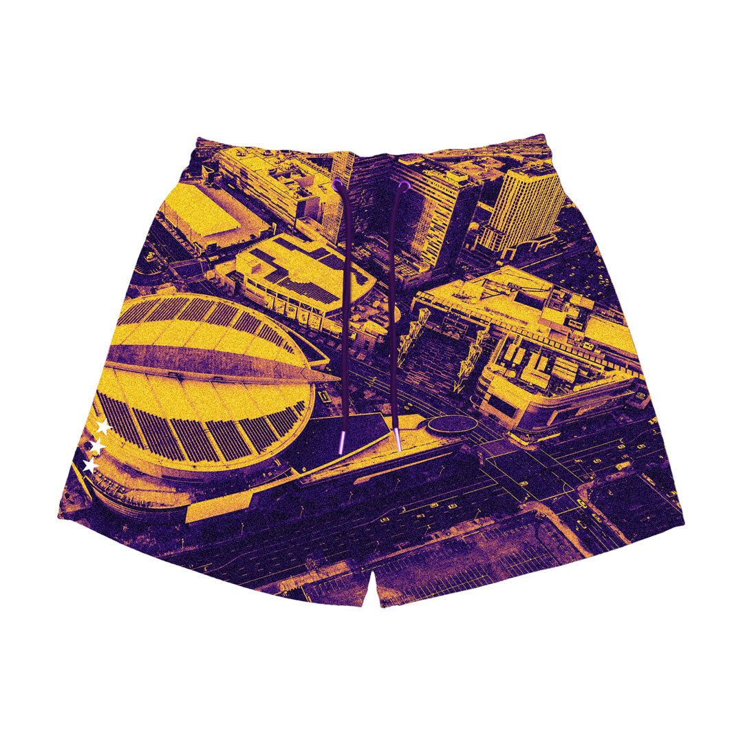 Charlotte Hornets 1992-1993 Swingman Reload Shorts – SLAM Goods